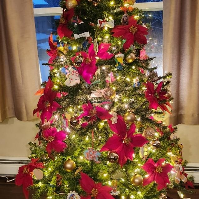 Recent check-in photo 3