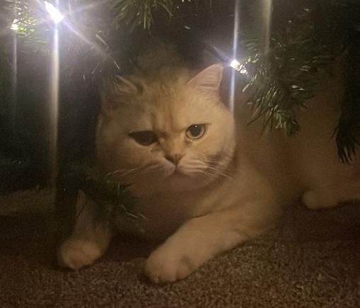 Recent check-in photo 6