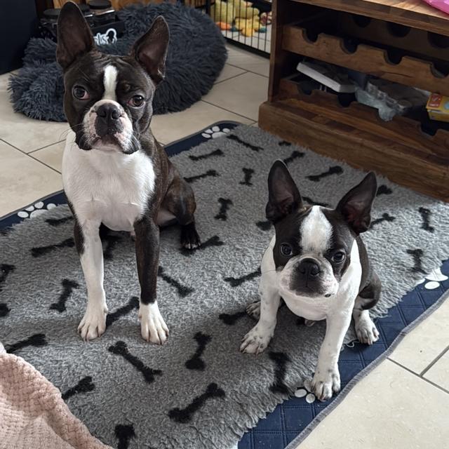 Recent check-in photo 1