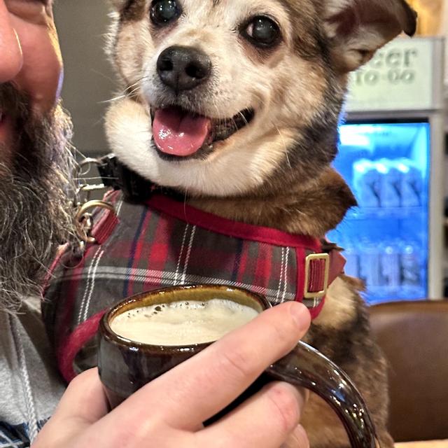 Recent check-in photo 3