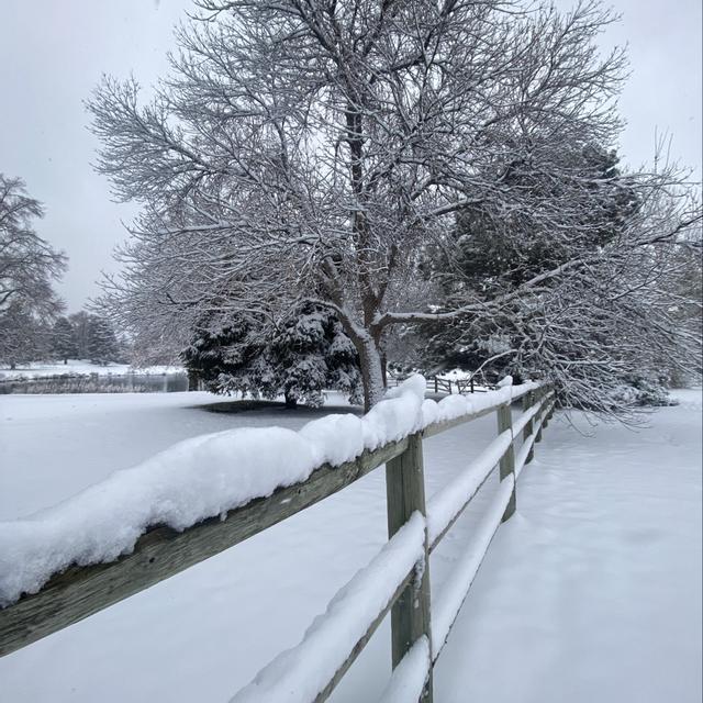 Recent check-in photo 5