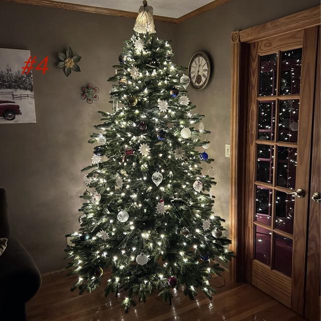 Recent check-in photo 4