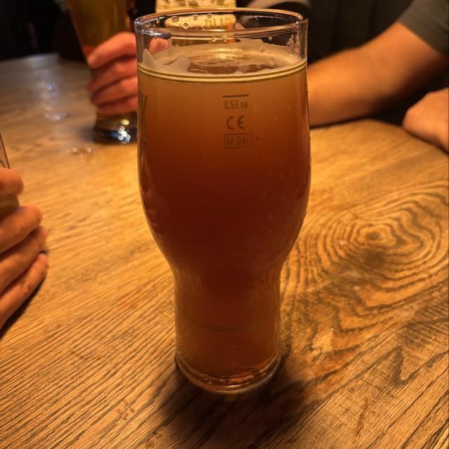 Recent check-in photo 5