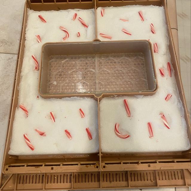 Recent check-in photo 2