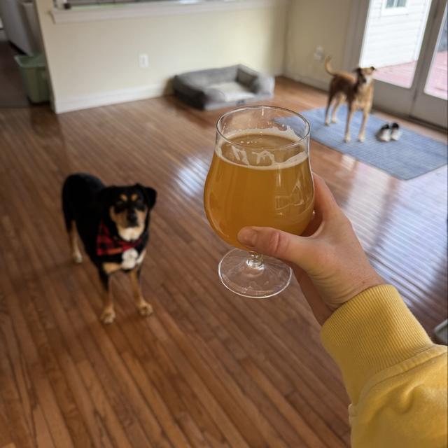 Recent check-in photo 3