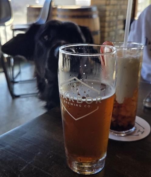 Recent check-in photo 5