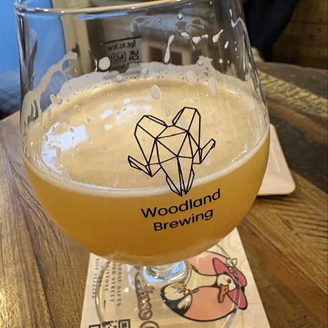 Recent check-in photo 1