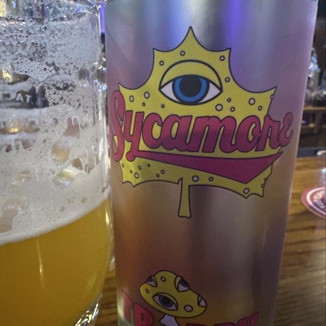 Recent check-in photo 1