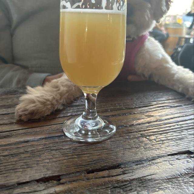 Recent check-in photo 6