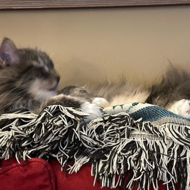 Recent check-in photo 5