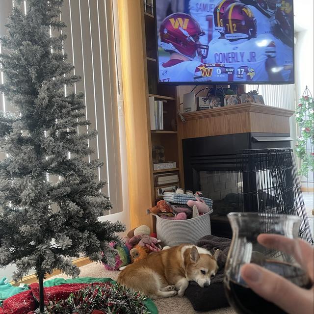 Recent check-in photo 1