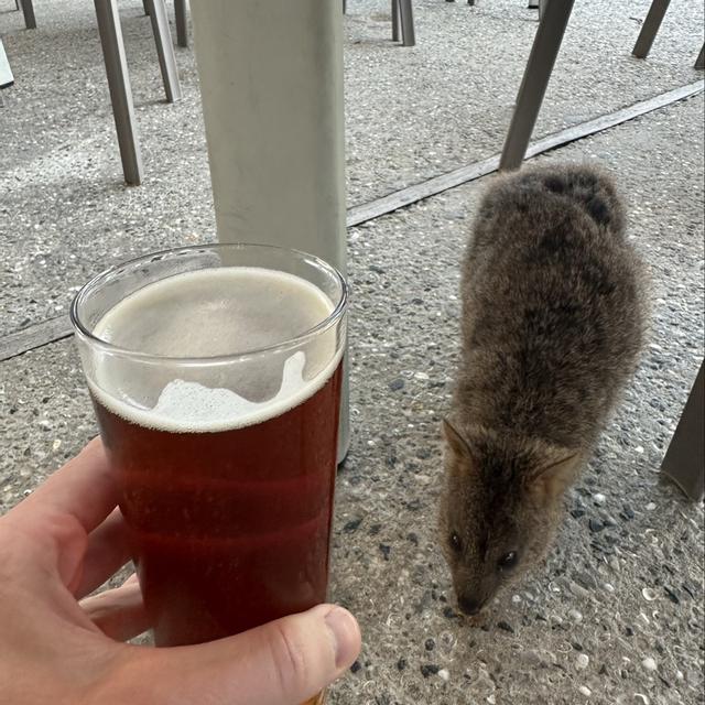 Recent check-in photo 4