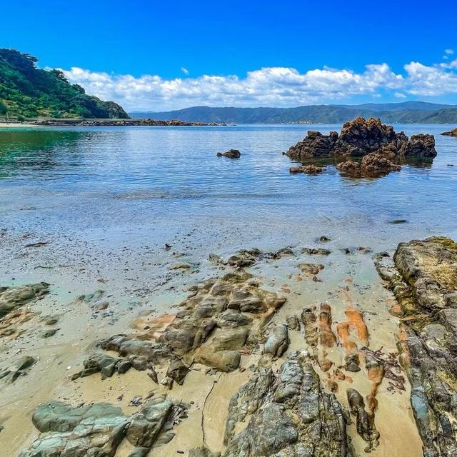 Recent check-in photo 1