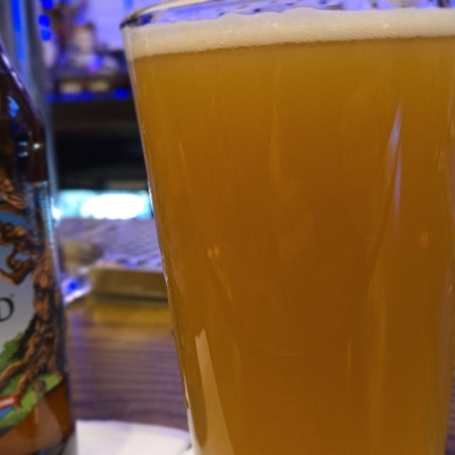 Recent check-in photo 4