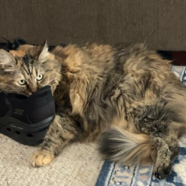 Recent check-in photo 2