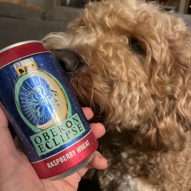 Oberon Eclipse - Bell’s Brewery - Untappd