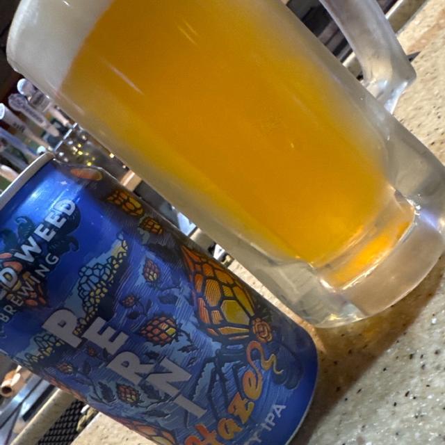 Recent check-in photo 1