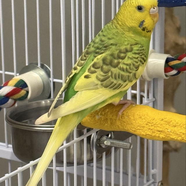 Recent check-in photo 1