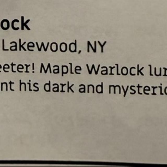 Recent check-in photo 6