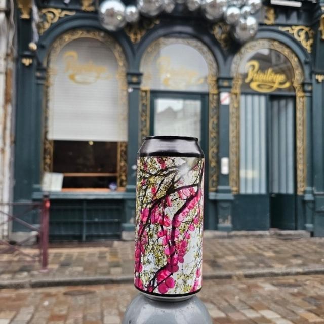 Recent check-in photo 4