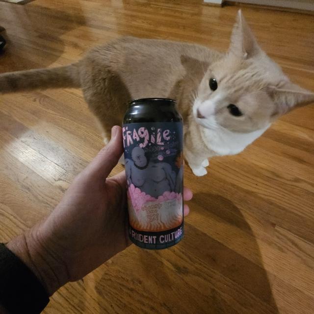 Recent check-in photo 3