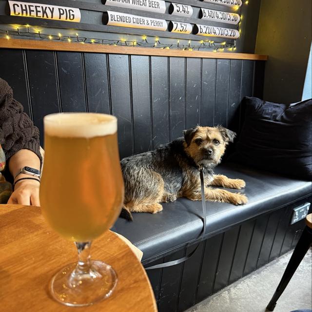 Recent check-in photo 6