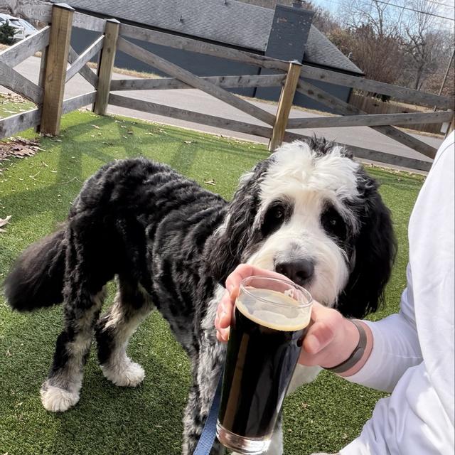 Recent check-in photo 1