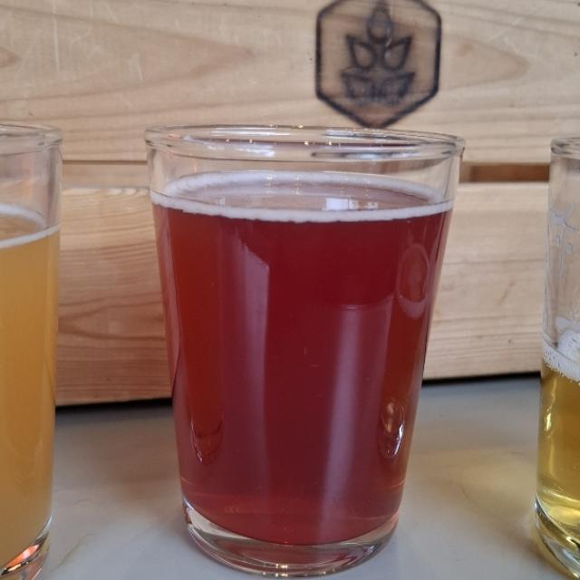 Recent check-in photo 6