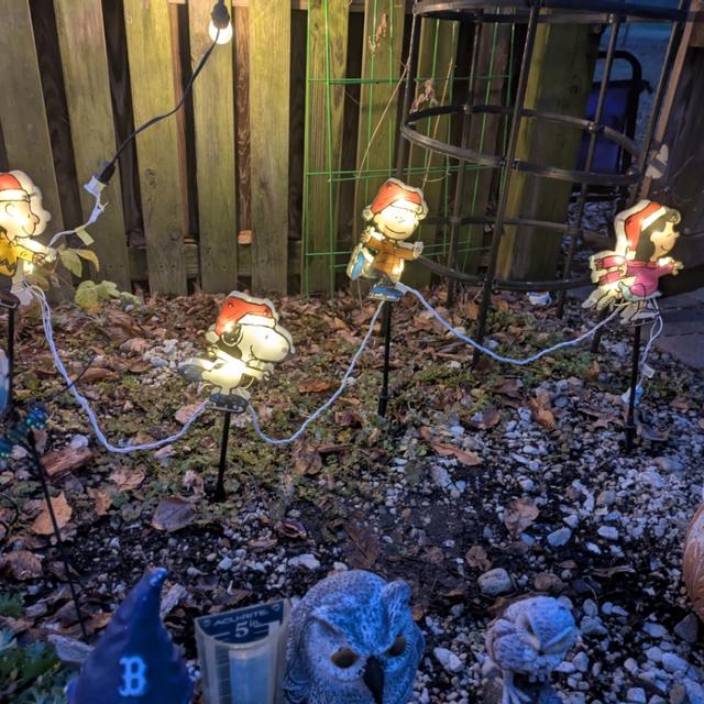 Recent check-in photo 4