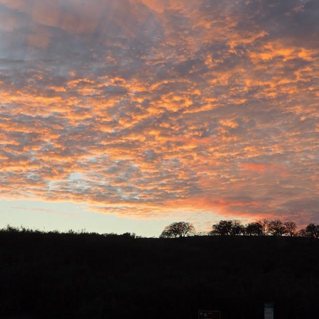 Recent check-in photo 5