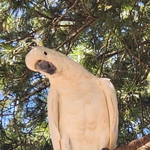 Recent check-in photo 2