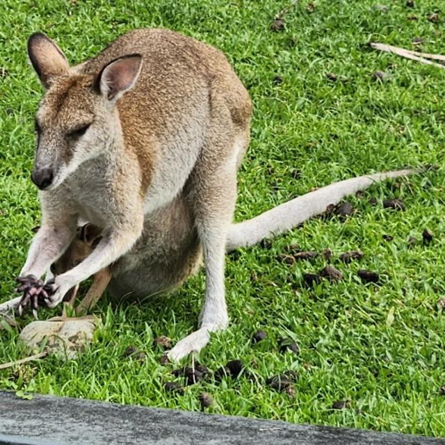 Recent check-in photo 3