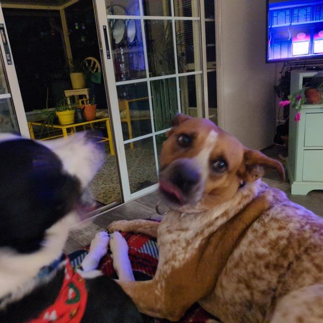 Recent check-in photo 2