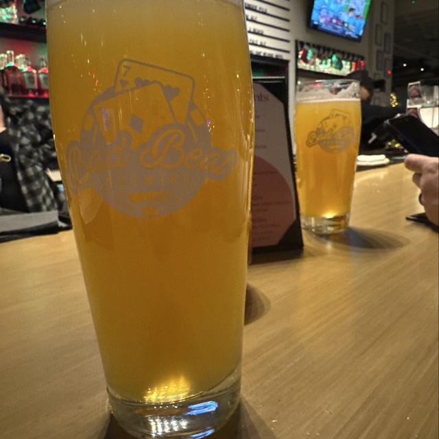 Recent check-in photo 1