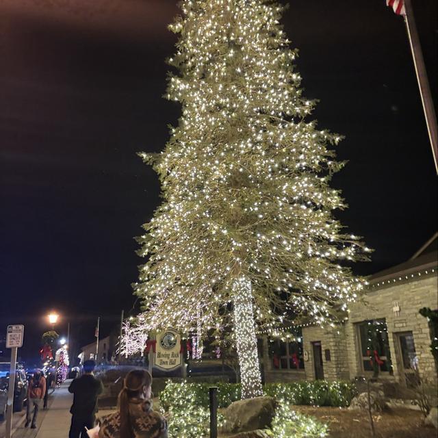 Recent check-in photo 6