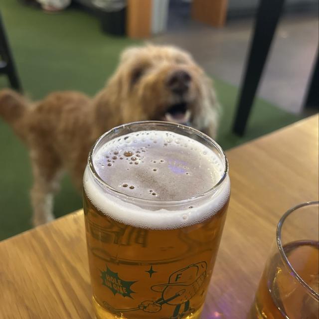 Recent check-in photo 5