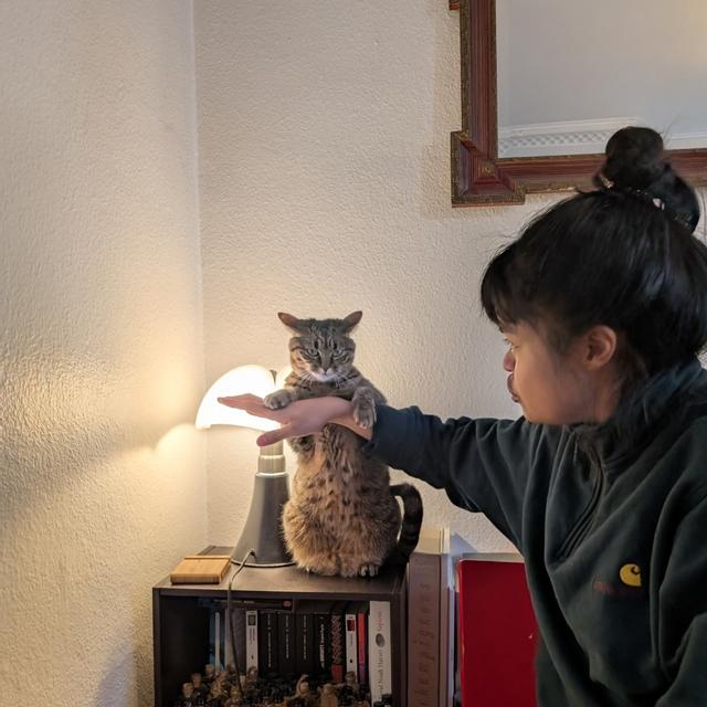 Recent check-in photo 3