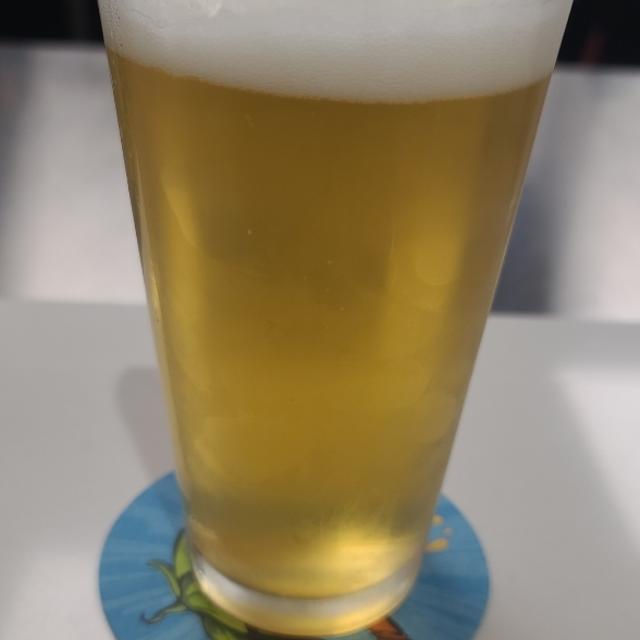 Recent check-in photo 5