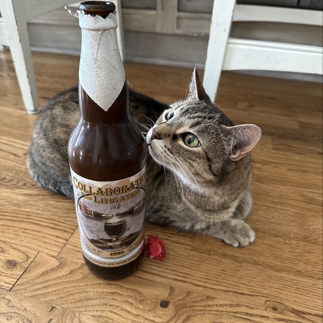 Recent check-in photo 3