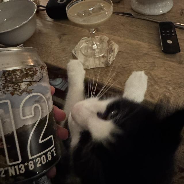 Recent check-in photo 4