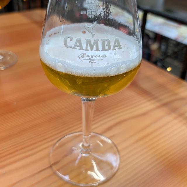 Recent check-in photo 6