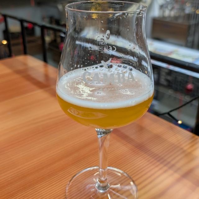 Recent check-in photo 5