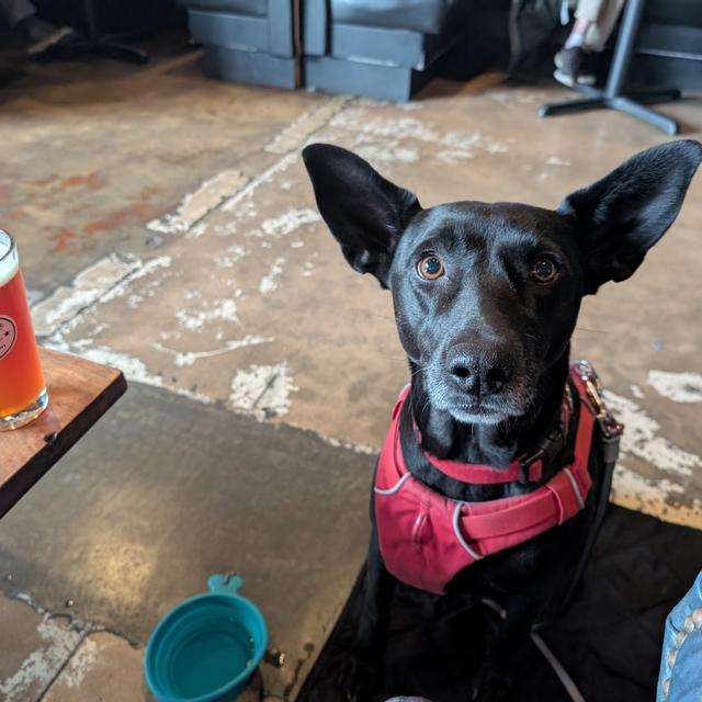 Recent check-in photo 4