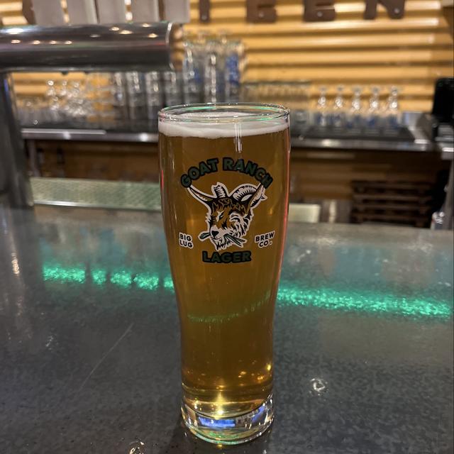 Recent check-in photo 6