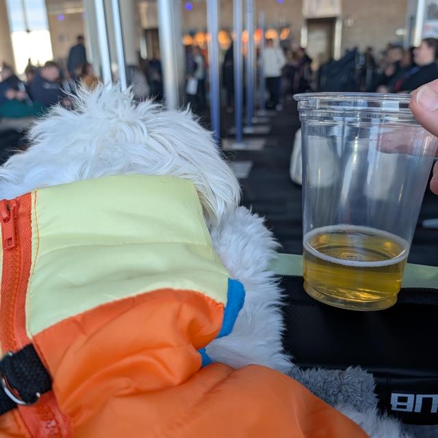 Recent check-in photo 1