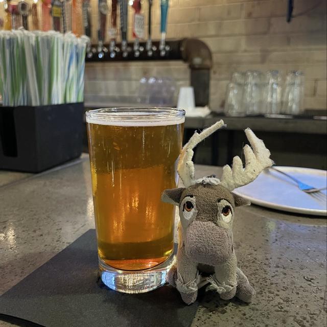 Recent check-in photo 6