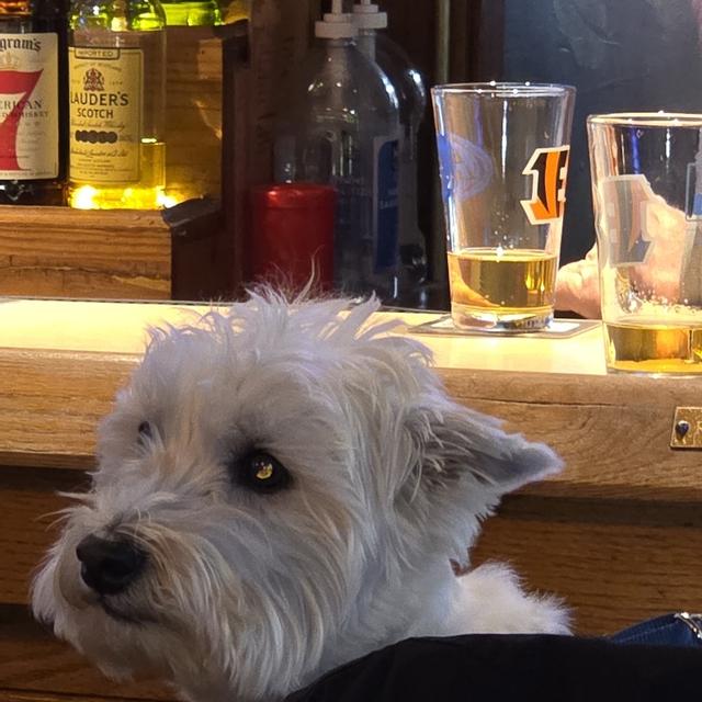 Recent check-in photo 3