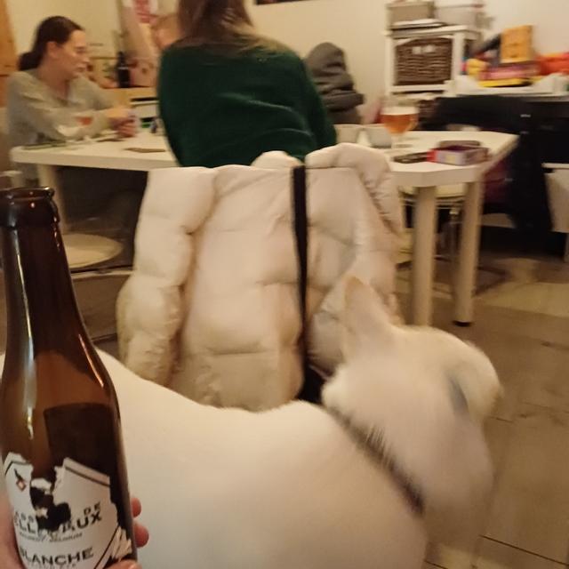 Recent check-in photo 3