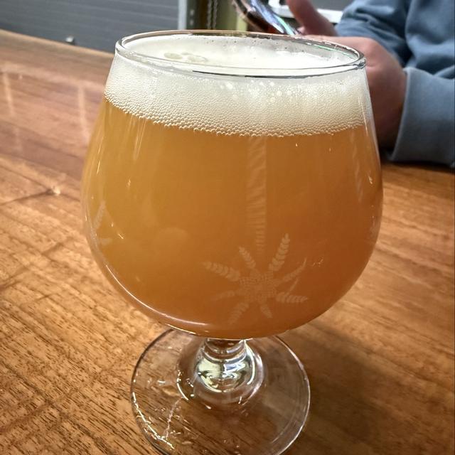 Recent check-in photo 5