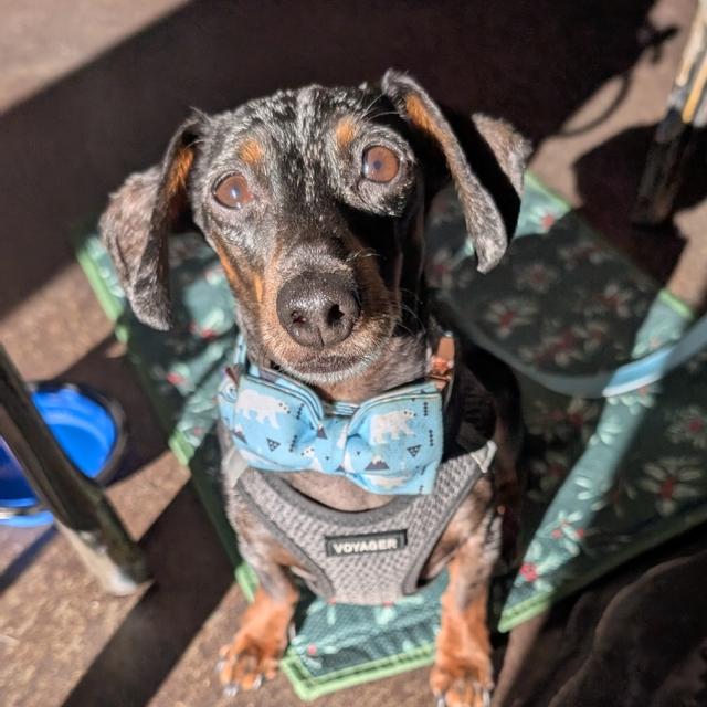 Recent check-in photo 3